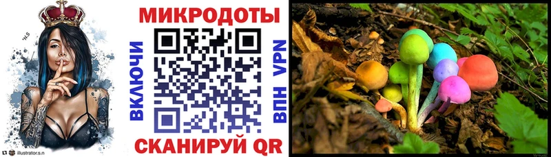 магазин    Рыбное  Галлюциногенные грибы Psilocybe 