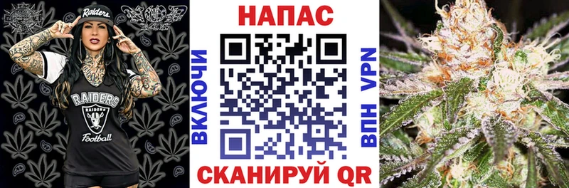 Конопля SATIVA & INDICA  Рыбное 